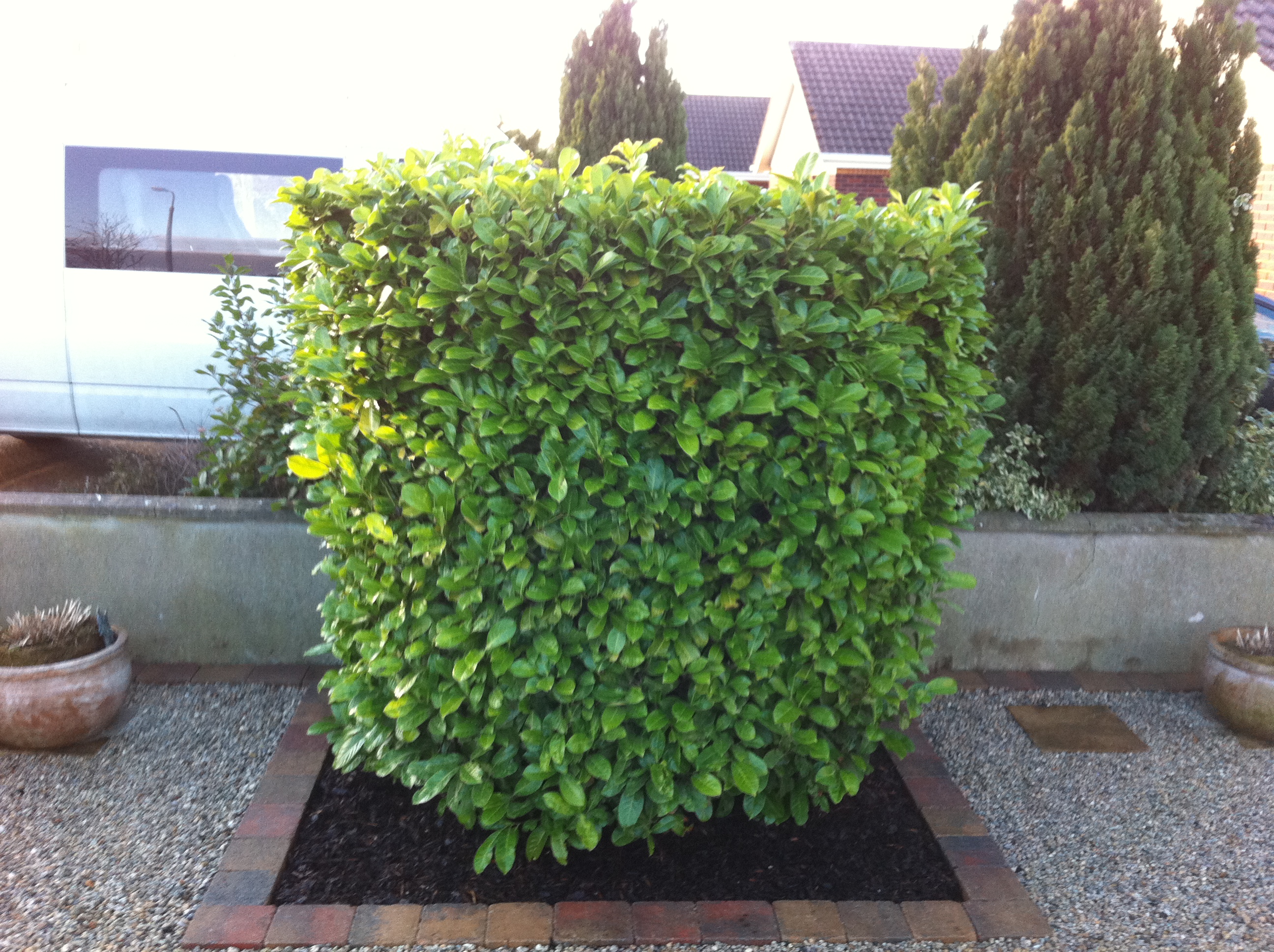 Jim Eustace Landscaping Newbridge