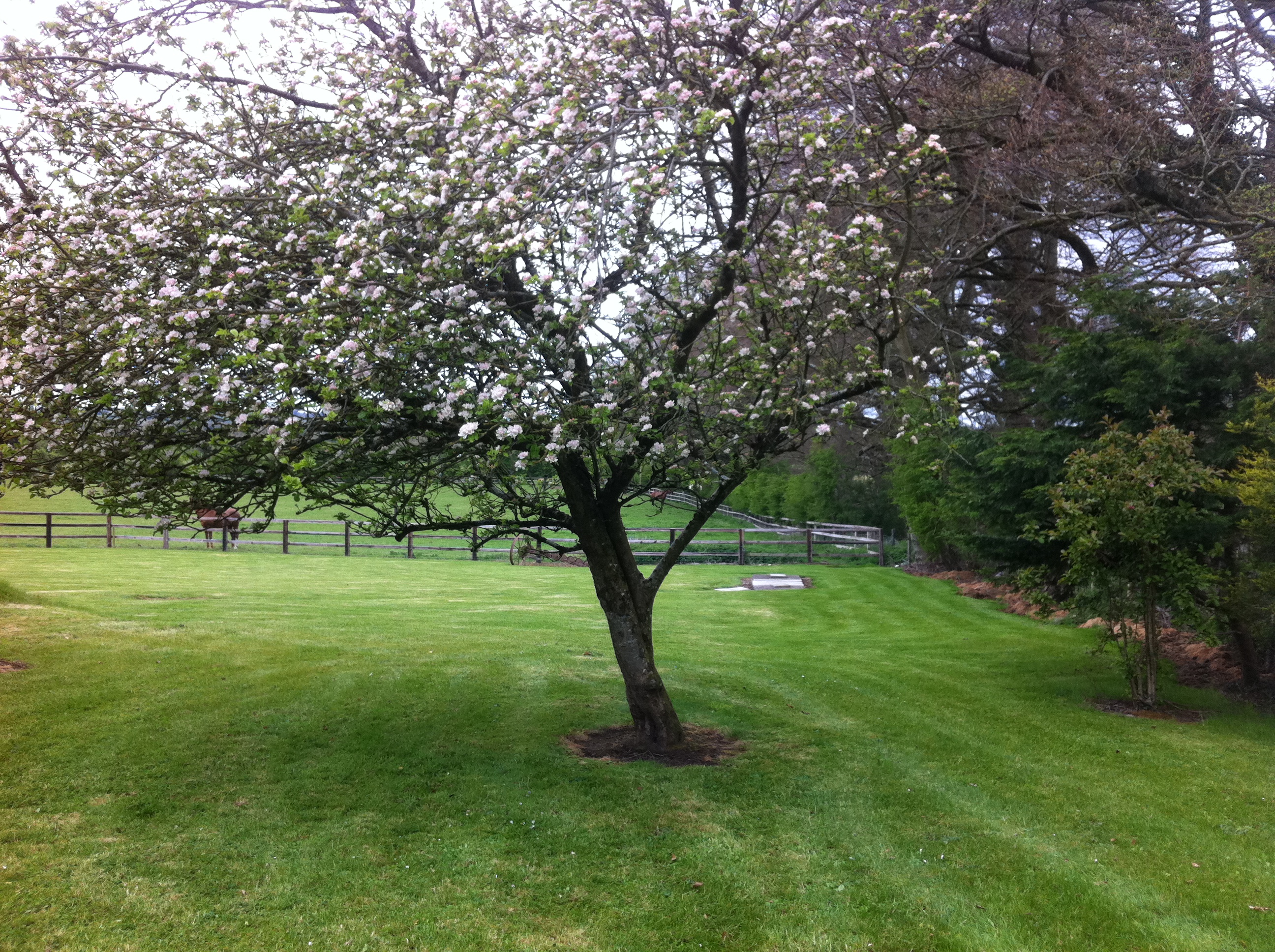 Landscaper Newbridge Kildare